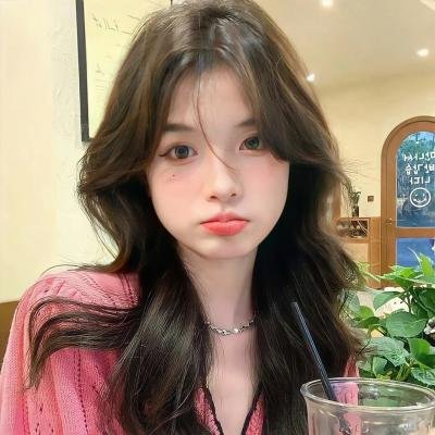 机智的公主殿下 封面