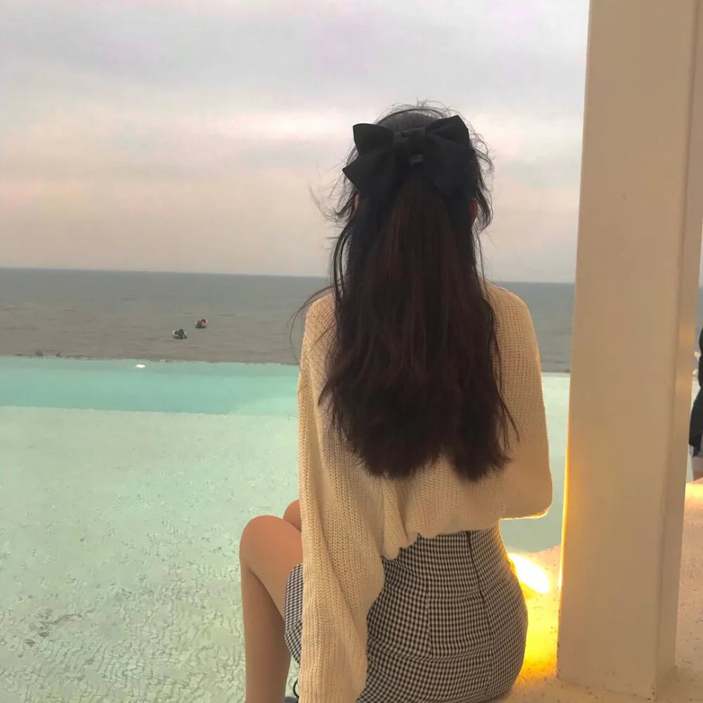 对战美洲狮 封面